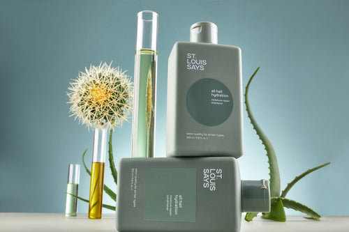 Product: All Hail Hydration Moisture Repair Duo