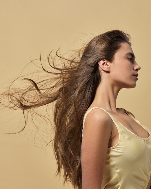 The Winter Haircare Holy Grail